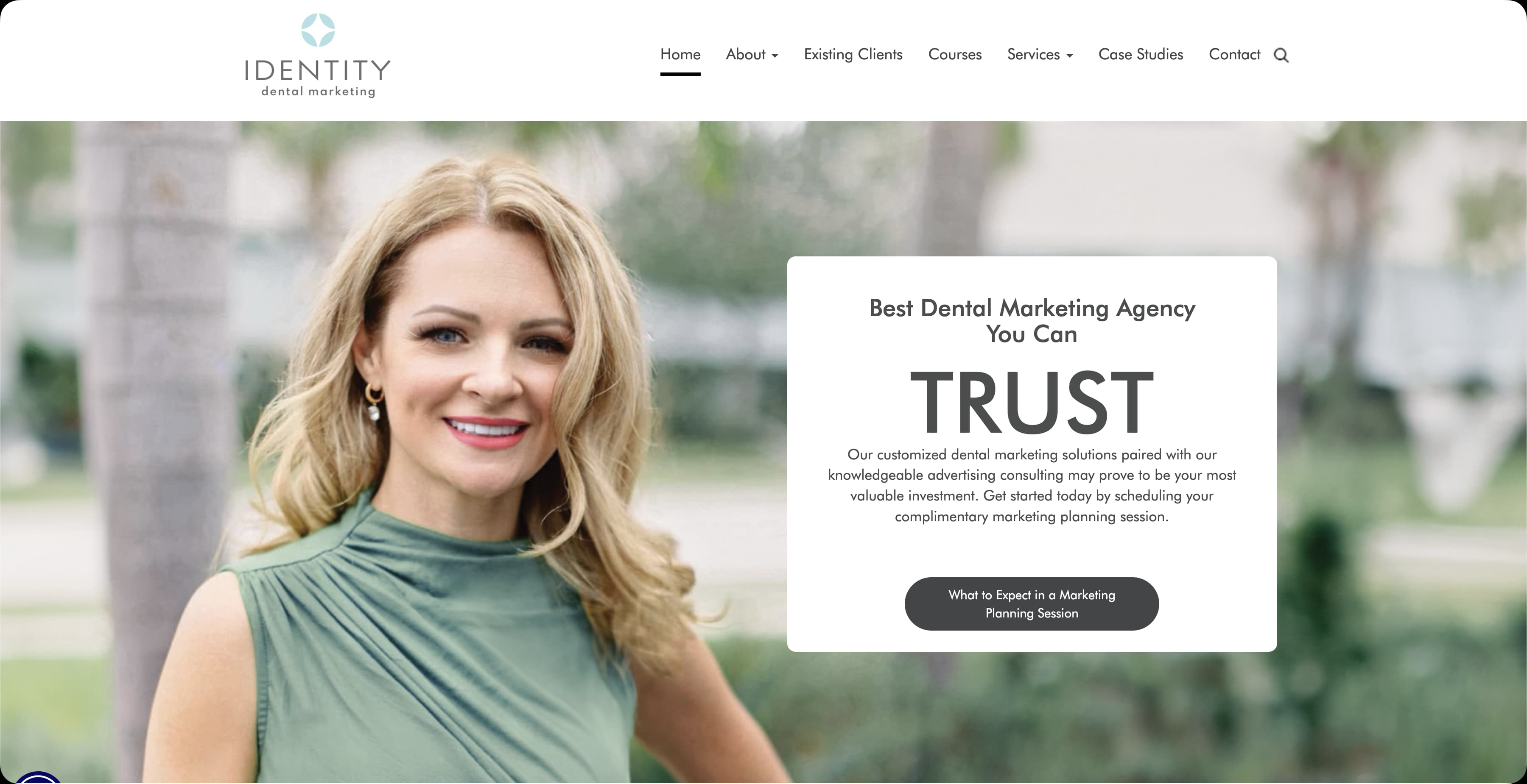 Identity Dental Marketing agency homepage screenshot